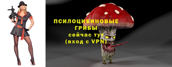 spice Новый Уренгой