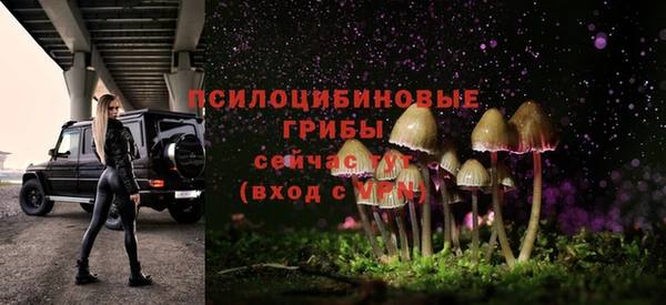 таблы Алексин