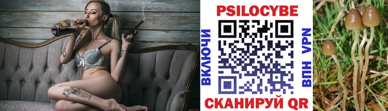 МЕГА онион Андреаполь Галлюциногенные грибы Psilocybe